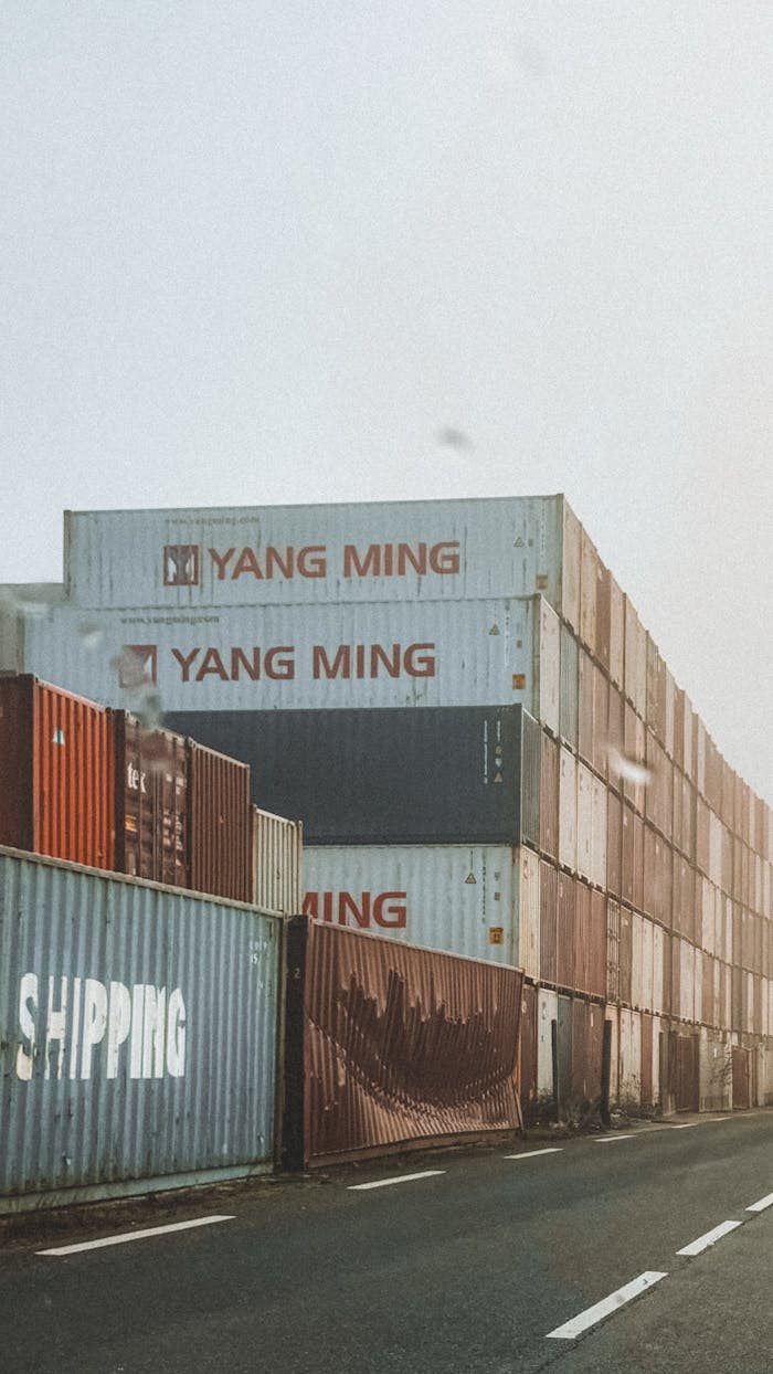 Services Rows of Yang Ming shipping containers stacked at port under hazy sky.